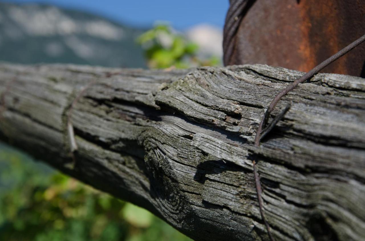 Pizzol-Hof Apartamento Appiano Sulla Strada Del Vino Exterior foto